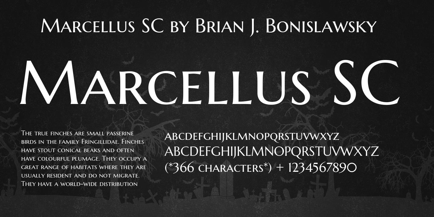 Marcellus SC