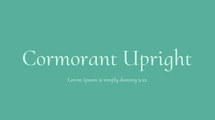 Cormorant Upright