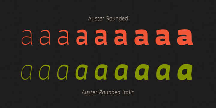 Auster Rounded