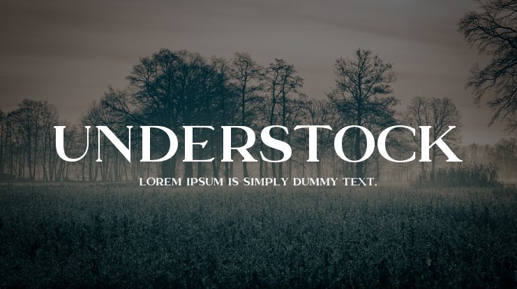 Understock