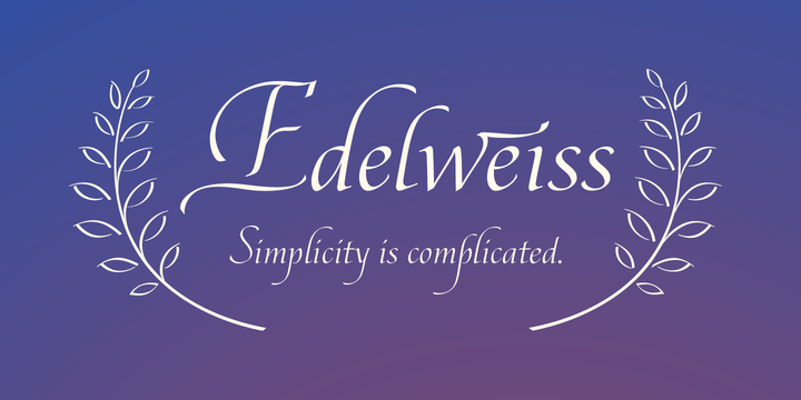 Edelweis