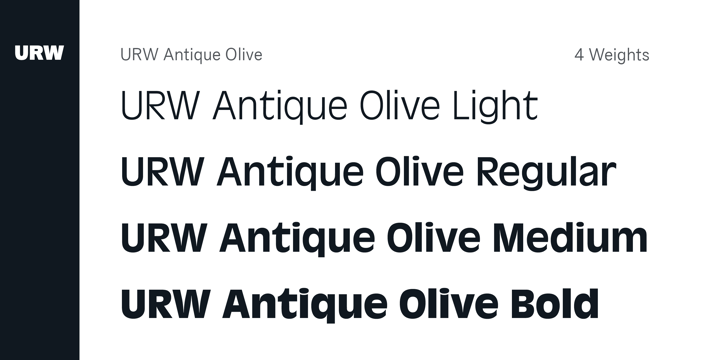 Antique Olive