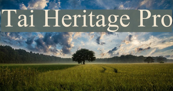 Tai Heritage Pro