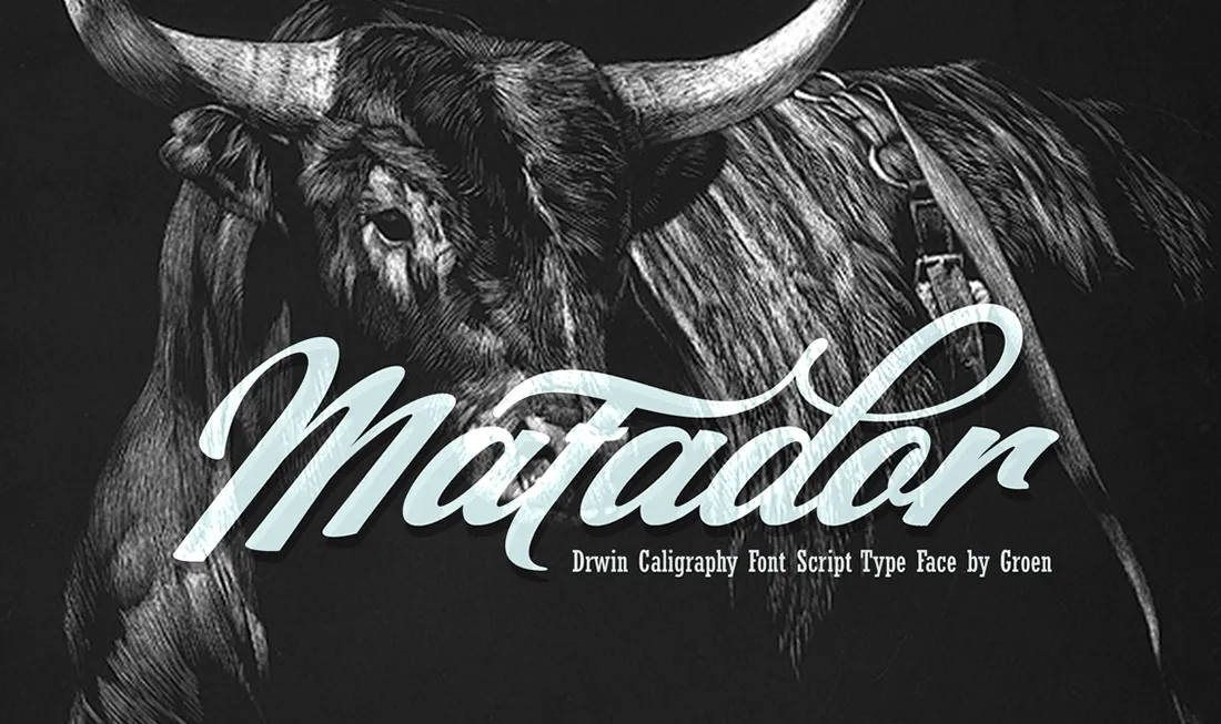 Matador