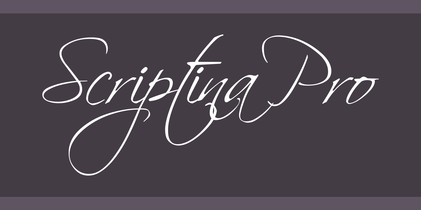 Scriptina Pro: скачать шрифт и установить для веб-сайта и фотошопа ...