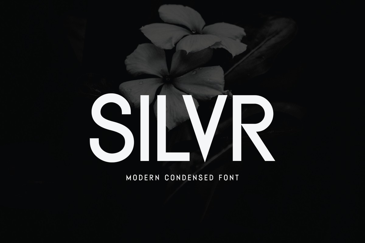 Silvr