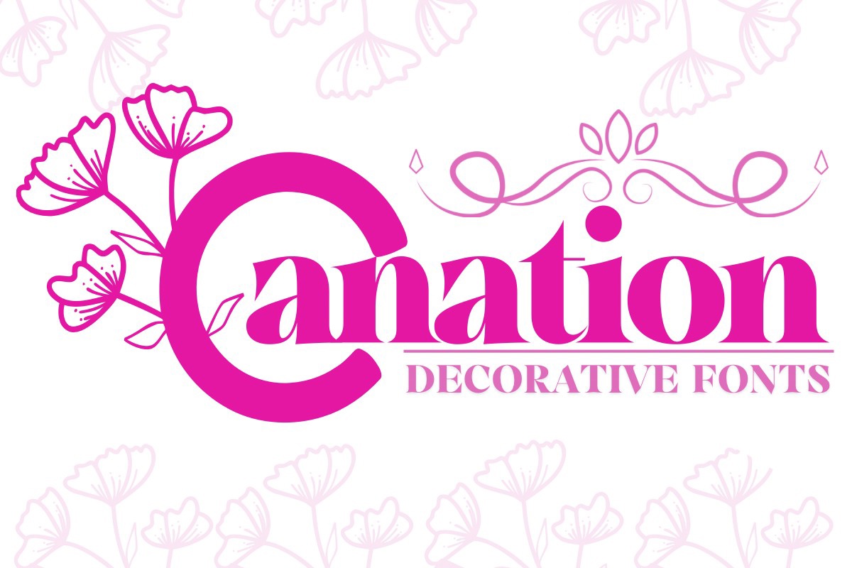 Carnation